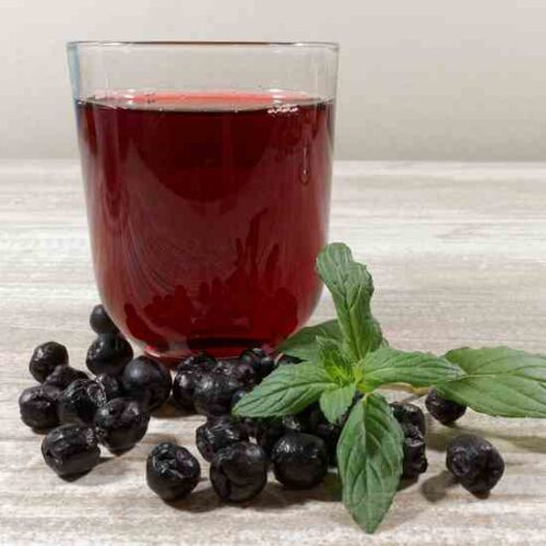 Aronia Fizz Recipe